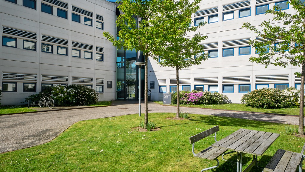 Kontor med nem adgang og rolig atmosfære