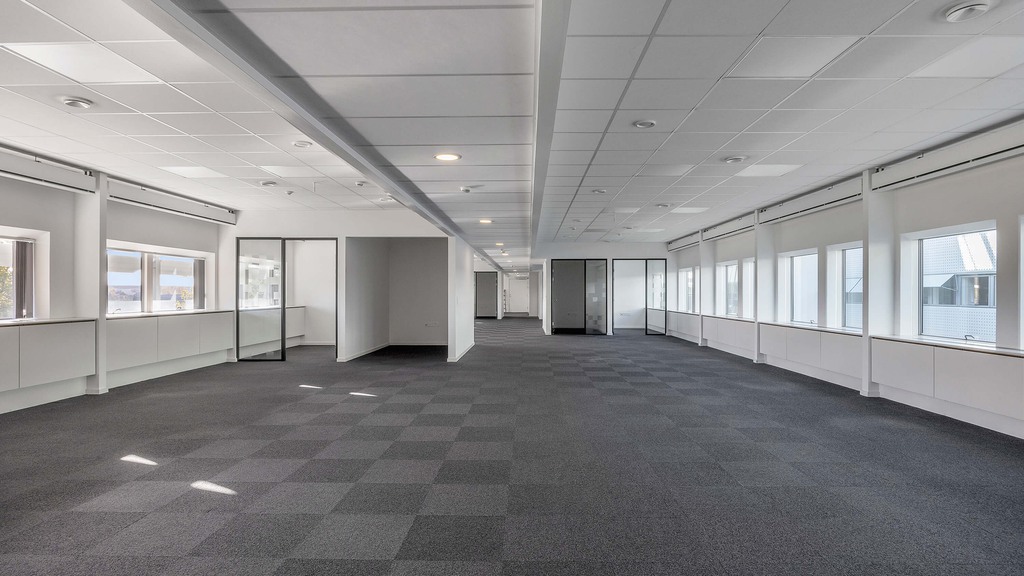 Professionelt erhvervsmiljø med international puls