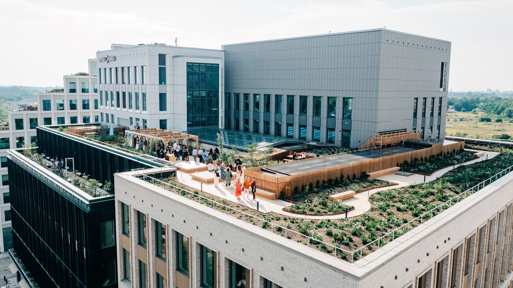 Kvartetten takterass