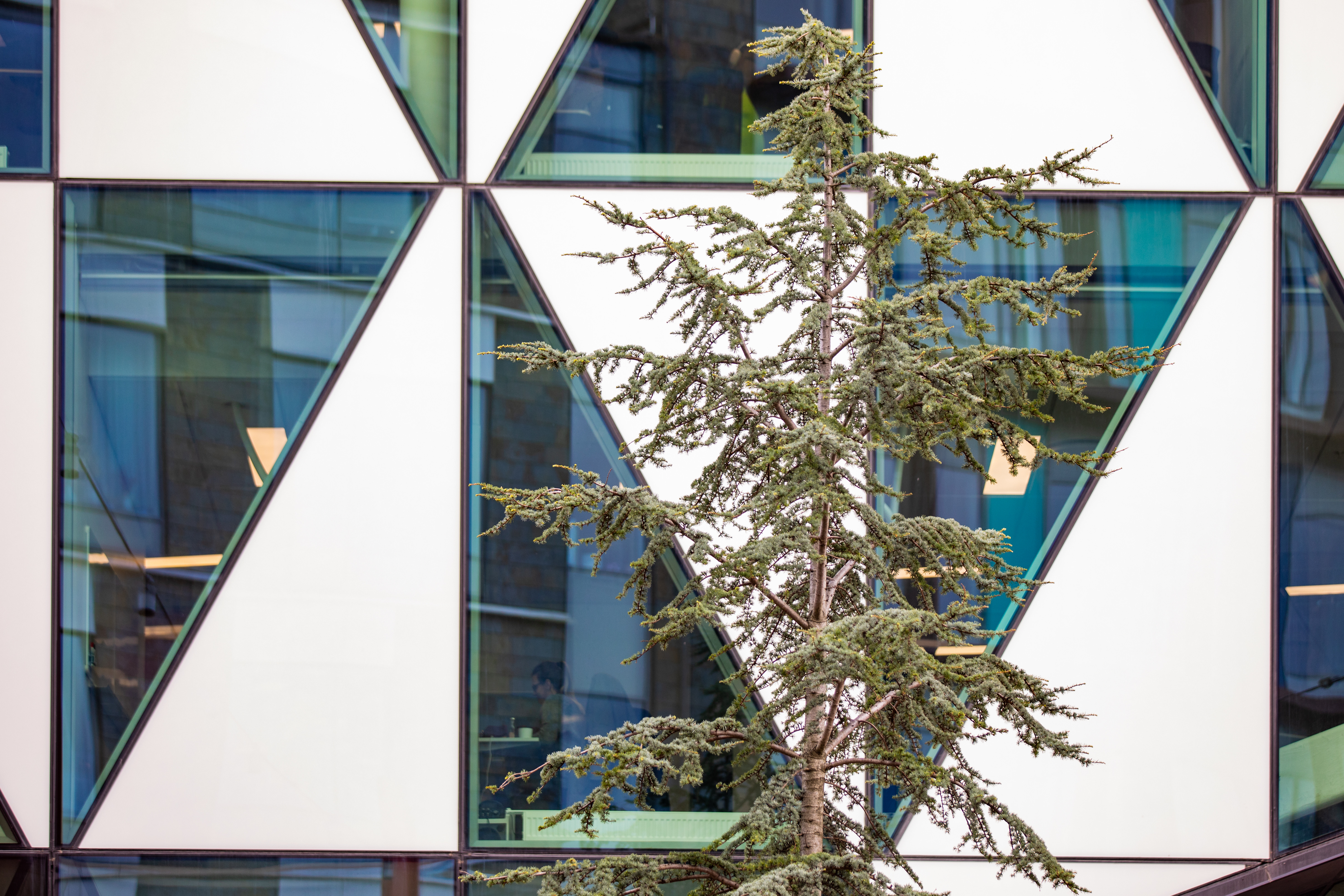 På Wihlborgs förvaltar vi våra fastigheter på ett effektivt och hållbart sätt.