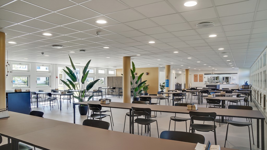 Professionelle rammer med plads til vækst