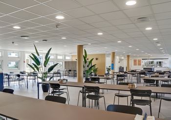 Professionelle rammer med plads til vækst