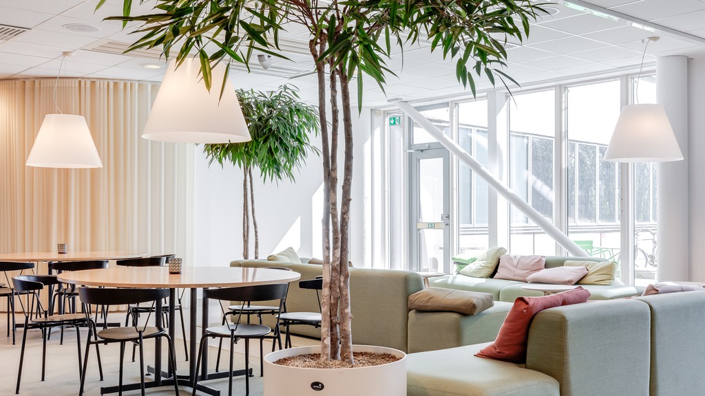 Fastigheten Node på ideon, med ljusa loungeytor och gröna växter. 