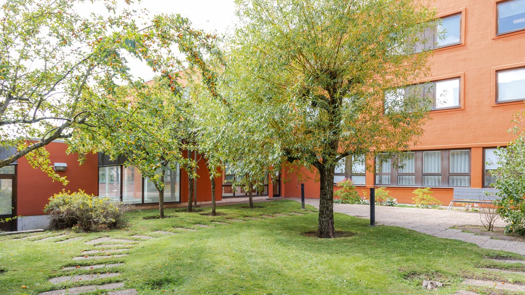 Bild på grönskande innergård 