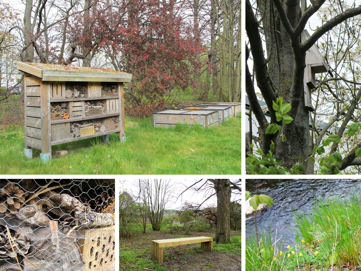 En hållbar utemiljö med plats för insekter
