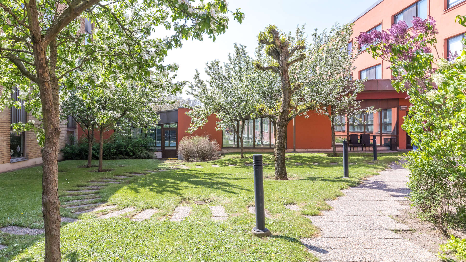 Innergård med blommande syrener.